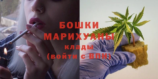 каннабис Корсаков