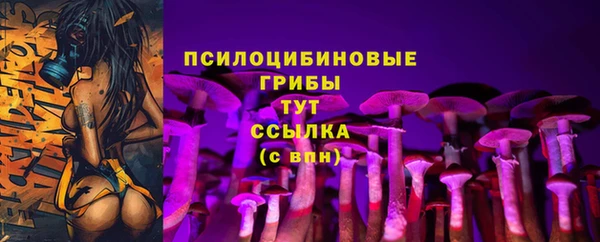 прущие крисы Костерёво