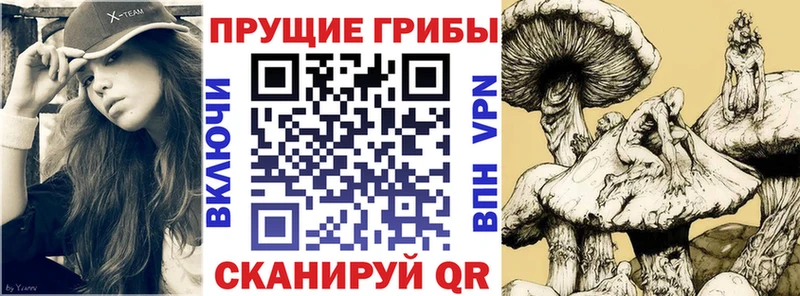 kraken зеркало  нарко площадка формула  Галлюциногенные грибы прущие грибы  Котельнич 